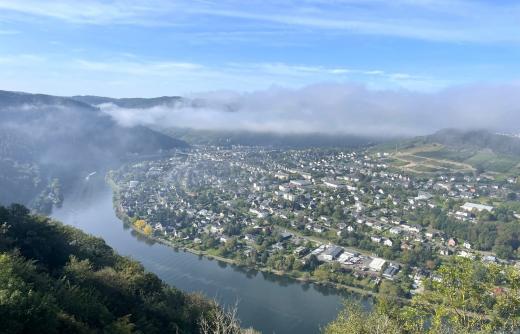 Grundstück kaufen Traben-Trarbach gross pw1jfmigthdb