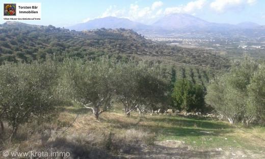 Grundstück kaufen Vori gross u54amtrbbsja