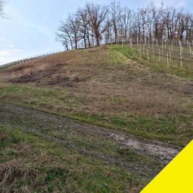 Grundstück kaufen Waigolshausen gross fqdfmtys1t34