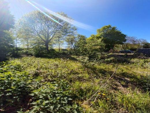 Grundstück kaufen Willich gross 2dwknbe6hylr