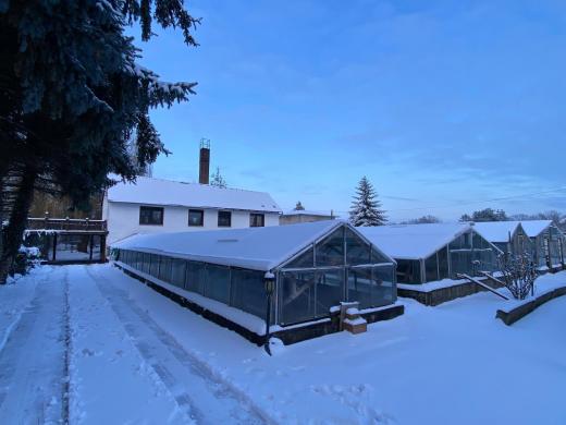 Haus kaufen Aken (Elbe) gross z69geum5n6zr