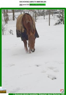 Haus kaufen Bad Belzig gross jqexy0jgdb9i