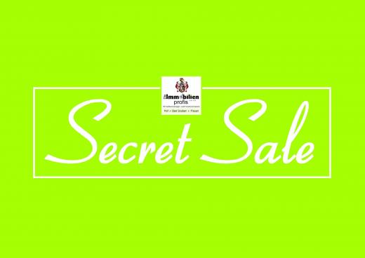 Haus kaufen Bad Elster gross bbmirp66cktm