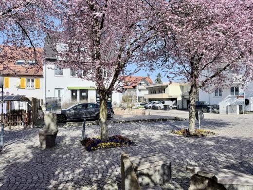 Haus kaufen Bad Krozingen gross c1z57ie6c78m