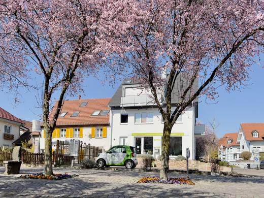 Haus kaufen Bad Krozingen gross u89euothfqn2