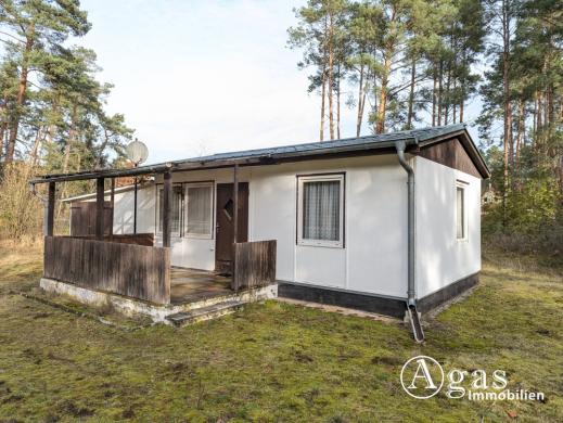 Haus kaufen Beelitz (Landkreis Potsdam-Mittelmark) gross u76us6hm60hq