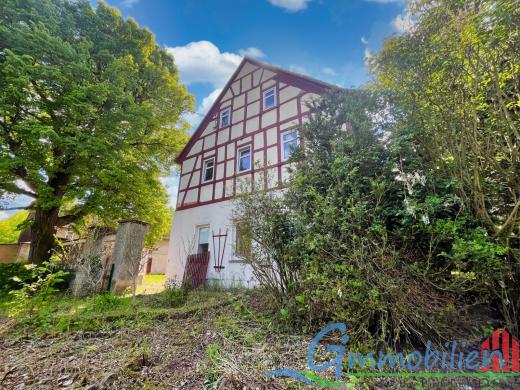 Haus kaufen Borna gross 73o0t2pzswvs