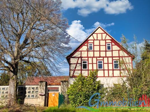 Haus kaufen Borna gross ukj6q5kg92jr
