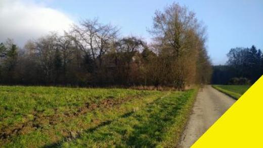 Haus kaufen Breitenbrunn (Landkreis Neumarkt in der Oberpfalz) gross 8t42yxgdjnce