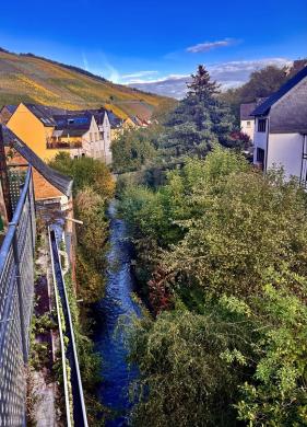 Haus kaufen Briedeler Heck gross nyi6ej08vk49
