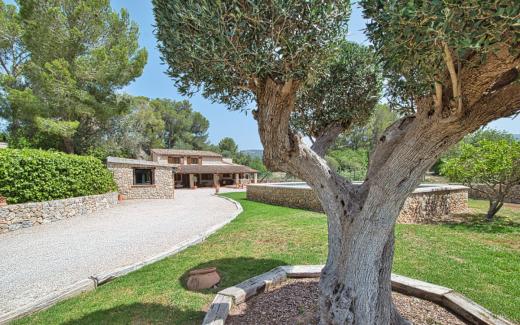 Haus kaufen Calvia gross h6eub9j7rufa