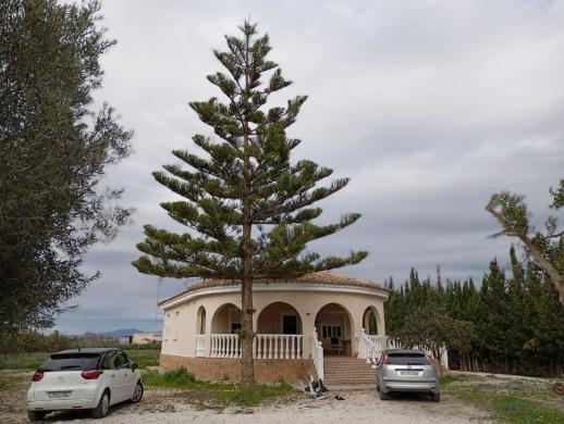 Haus kaufen Daya Vieja gross pl83gdpnt9k2