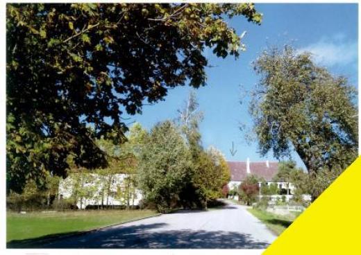 Haus kaufen Dischingen gross kcyp8vncsmra
