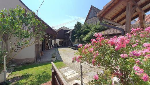 Haus kaufen Efringen-Kirchen gross e1kd6zuprhot