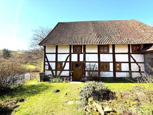 Haus kaufen Extertal gross dg8jeezsp7n1