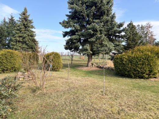 Haus kaufen Fichtenberg gross sc346zjeczp1