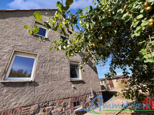 Haus kaufen Frohburg gross fetpenazyamn