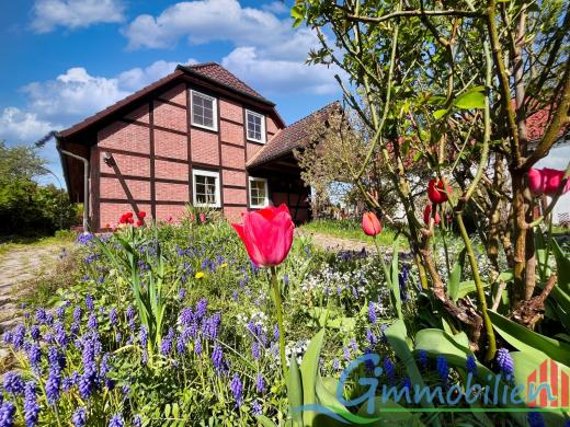 Haus kaufen Großpösna gross 86x8kpzuqorv