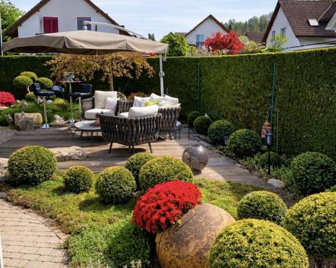 Haus kaufen Hunzenschwil gross ro249l9ecat0