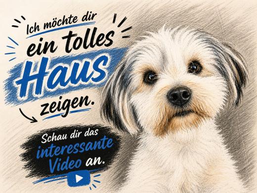 Haus kaufen Knüllwald gross g0jiyert3i42