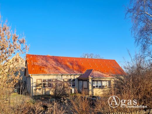 Haus kaufen Küstriner Vorland gross 8f0zyrek4h72