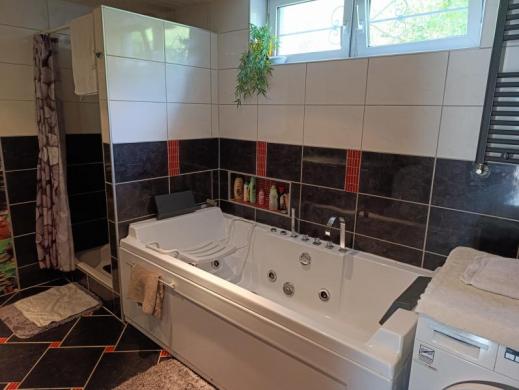 Haus kaufen Ludwigshafen am Rhein gross lw2o7fiso467