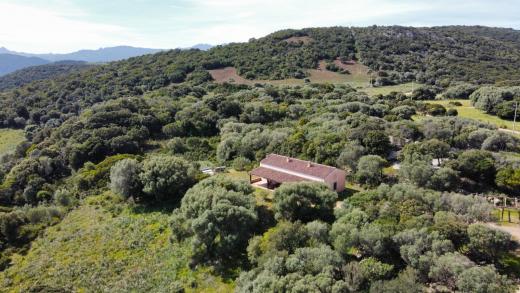 Haus kaufen Luogosanto gross cpuo0f511fc9