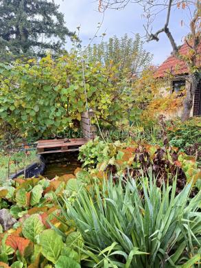 Haus kaufen Mainz gross b8gcrsf0iq6j