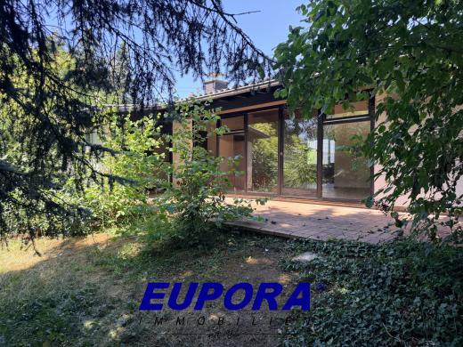 Haus kaufen Marnheim gross noyufp00be71