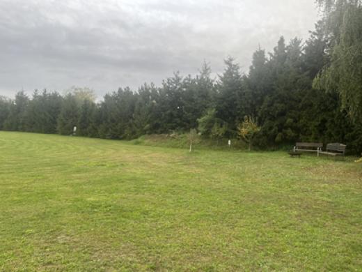 Haus kaufen Mühlberg (Landkreis Elbe-Elster) gross xwid566lfcxd