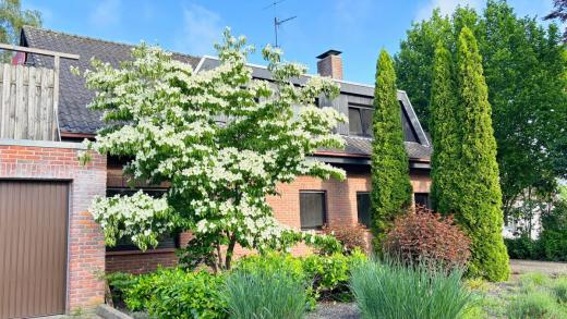 Haus kaufen Neuenhaus gross powheiiv8ldn