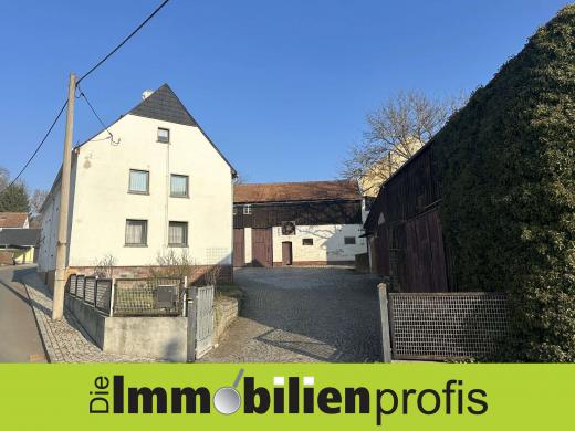 Haus kaufen Neundorf (Vogtlandkreis) gross bkyt778p2i6w
