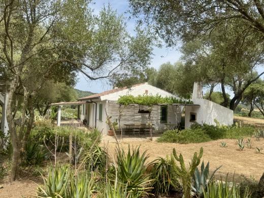 Haus kaufen Olbia gross qhlwzzxkos7x