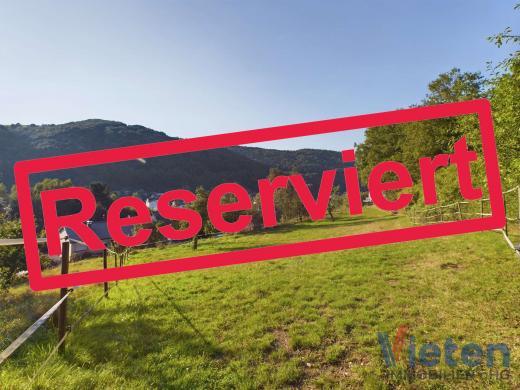 Haus kaufen Schleiden gross oy7afhh5wr4z