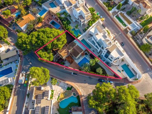 Haus kaufen Torrevieja gross s7cp3imf9nlb