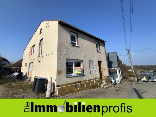 Haus kaufen Treuen gross zxsqljfdri09