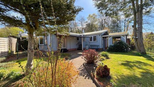 Haus kaufen Uelsen gross kdvxsnks2ary