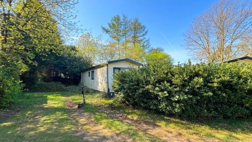Haus kaufen Uelsen gross n31c68w8odai