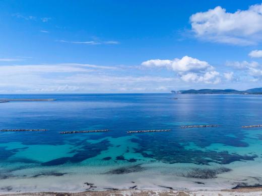 Wohnung kaufen Alghero gross 5yhbxi7mjezv