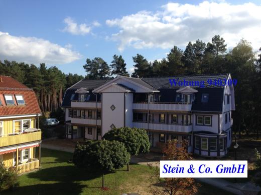 Wohnung kaufen Borkwalde gross y8p6kfj2ynxa