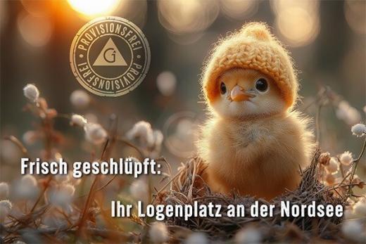 Wohnung kaufen Dornum gross ufy8rug20w4o