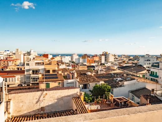 Wohnung kaufen Palma de Mallorca gross 4qhs5q9f9lih