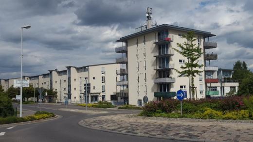 Wohnung kaufen Zwickau gross yu0exvq3gvrp