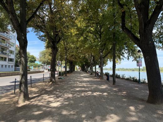 Wohnung mieten Bonn gross 4h48ztuxnisq