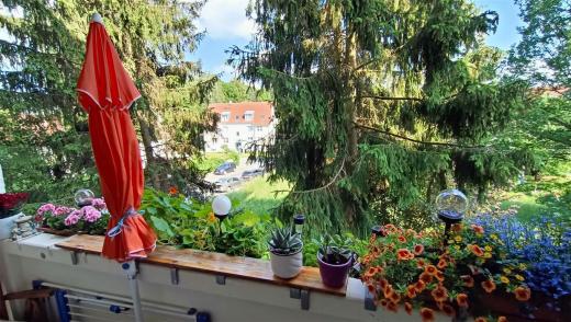 Wohnung mieten Chemnitz gross extpim16jnxh