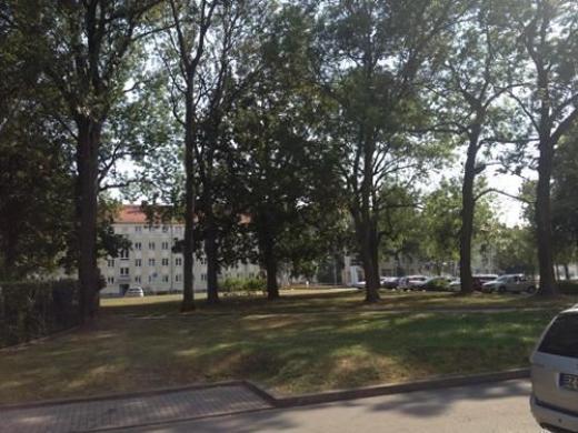 Wohnung mieten Chemnitz gross lmnqivi7g8dh