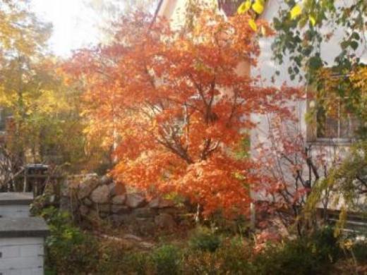 Wohnung mieten gross 7mu74jaq4z07