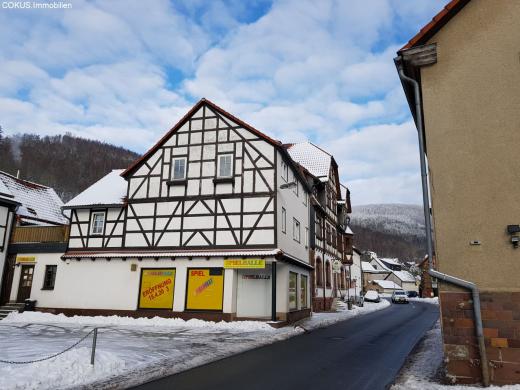 Wohnung mieten Steinbach-Hallenberg gross 4tcz98puo95s