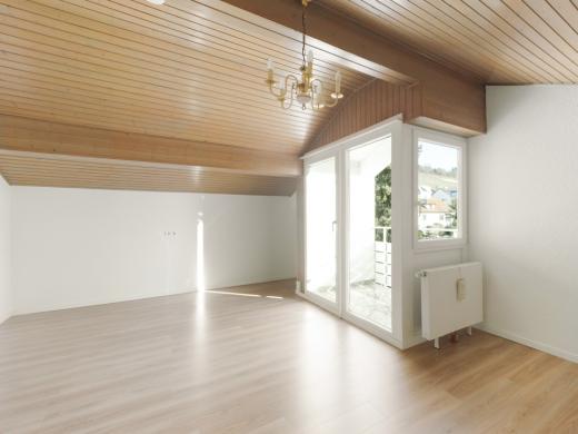 Wohnung mieten Weil am Rhein gross m86bmslizk6n