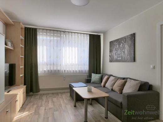Wohnung mieten Werdau gross yf7cq27rozdz